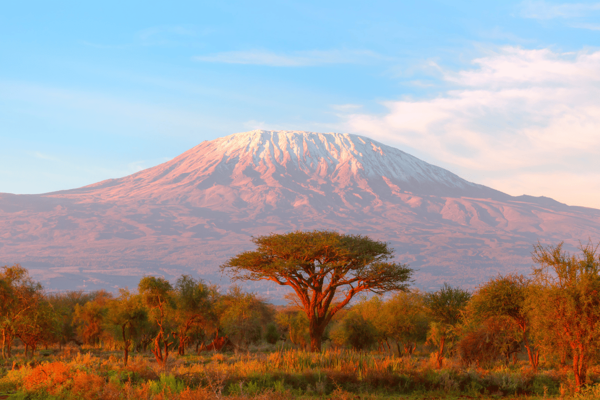 Como escolher a melhor agência para escalar o Kilimanjaro Guia do Mundo viagens viajar roteiros