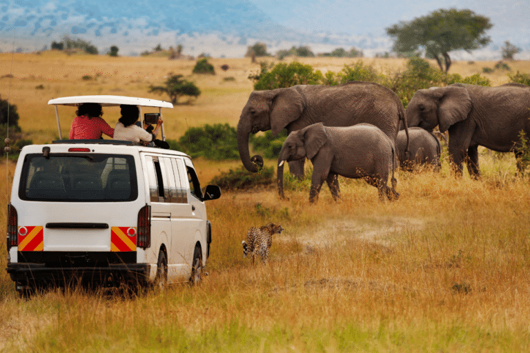 Opções de Avião e Carro para ir de Nairóbi para o Masai Mara Guia do Mundo viagens viajar roteiros