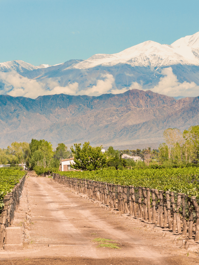 Qual é a vinícola mais bonita de Mendoza?