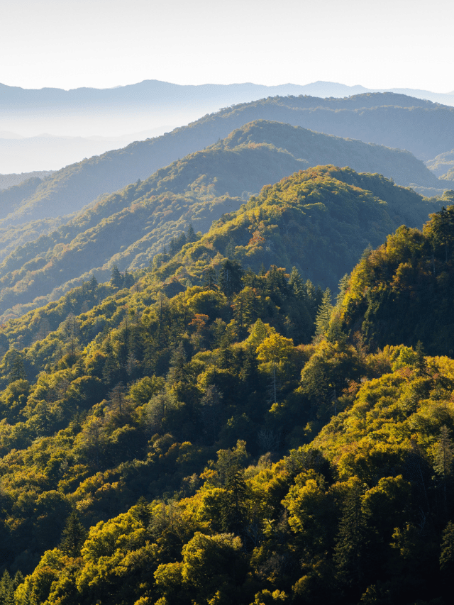 Qual é o Parque Nacional mais visitado dos EUA?
