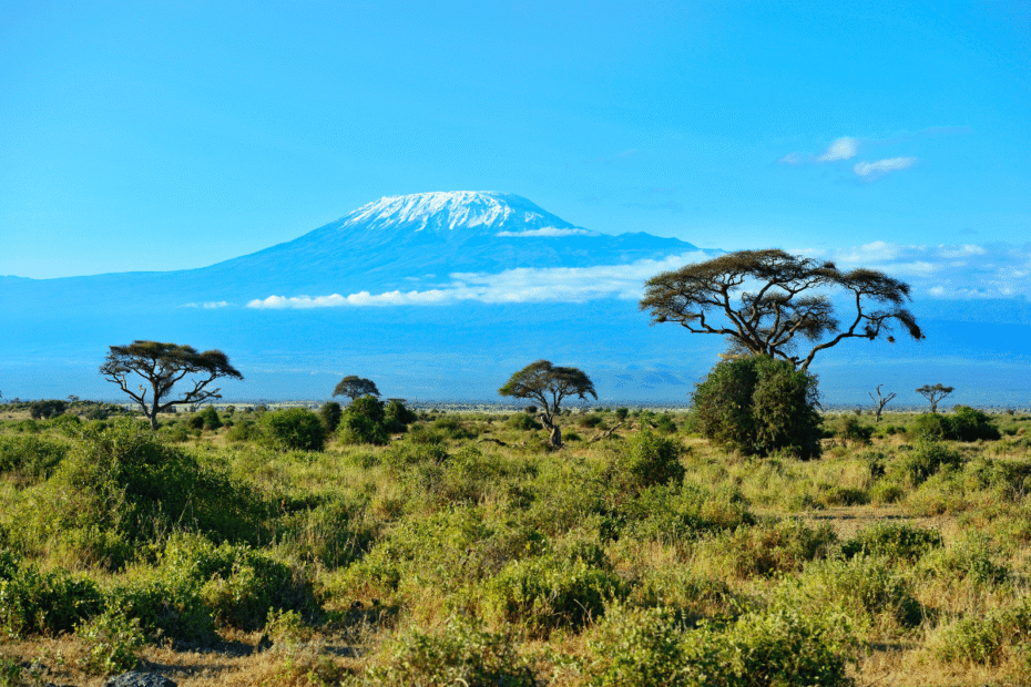 Quanto Custa Escalar o Kilimanjaro Orçamento detalhado Guia do Mundo viagens viajar roteiros