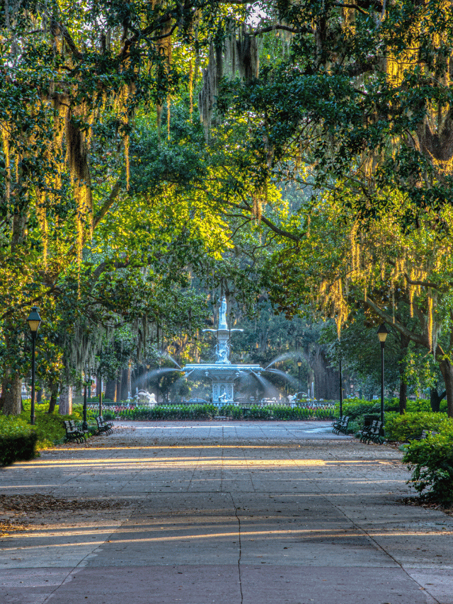 Vale a pena visitar Savannah?