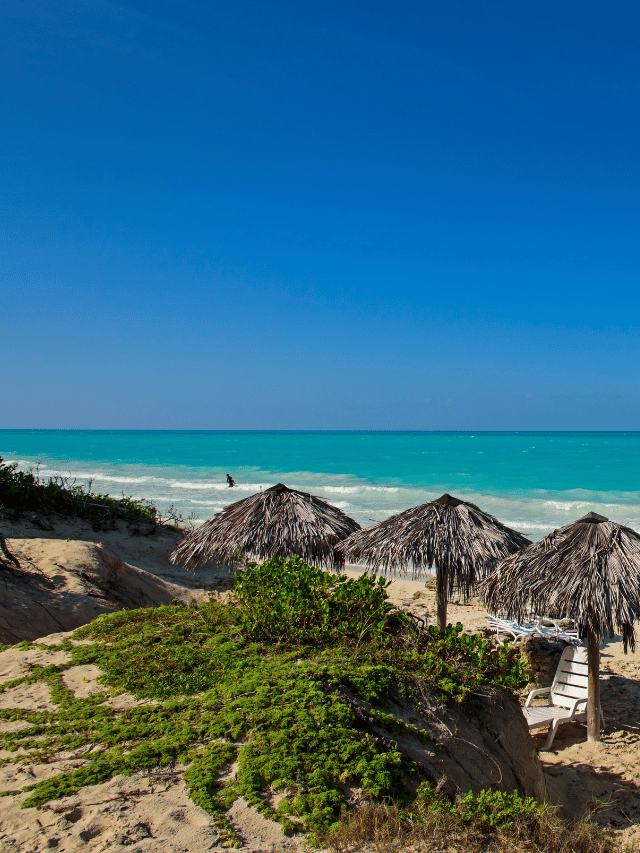 Cayos Cochinos: O que é o Caribe Real de Honduras?