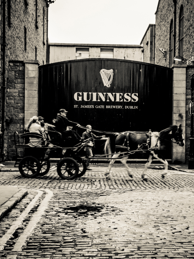 Como aproveitar os pubs e a Guinness Storehouse?