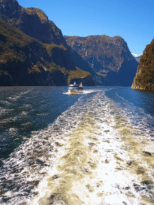 Como é o cruzeiro no Milford Sound Guia do Mundo viagens viajar roteiros Capa Web Stories