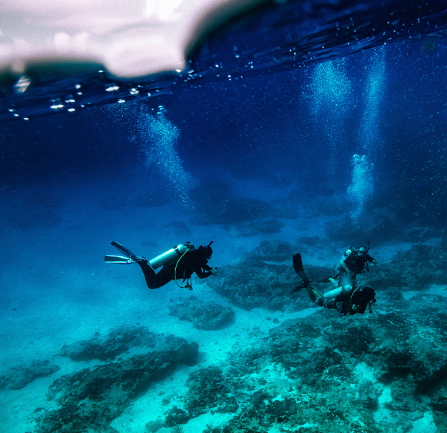 Como escolher Mergulho em Cozumel ou Belize Guia do Mundo viagens viajar roteiros Capa Web Stories