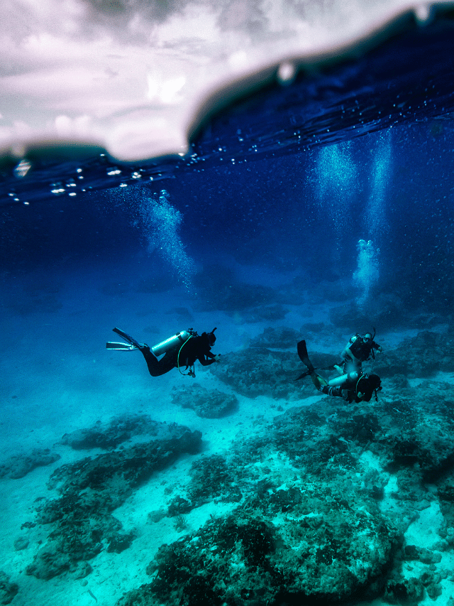 Como escolher: Mergulho em Cozumel ou Belize?