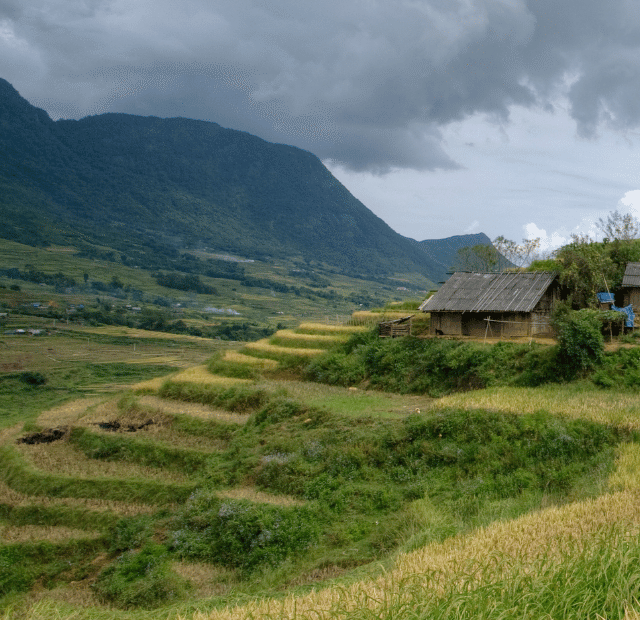 Como fazer trekking nos arrozais de Sapa, 12 Vietnã Guia do Mundo viagens viajar roteiros Capa Web Stories