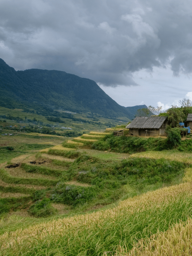 Como fazer trekking nos arrozais de Sapa, Vietnã?