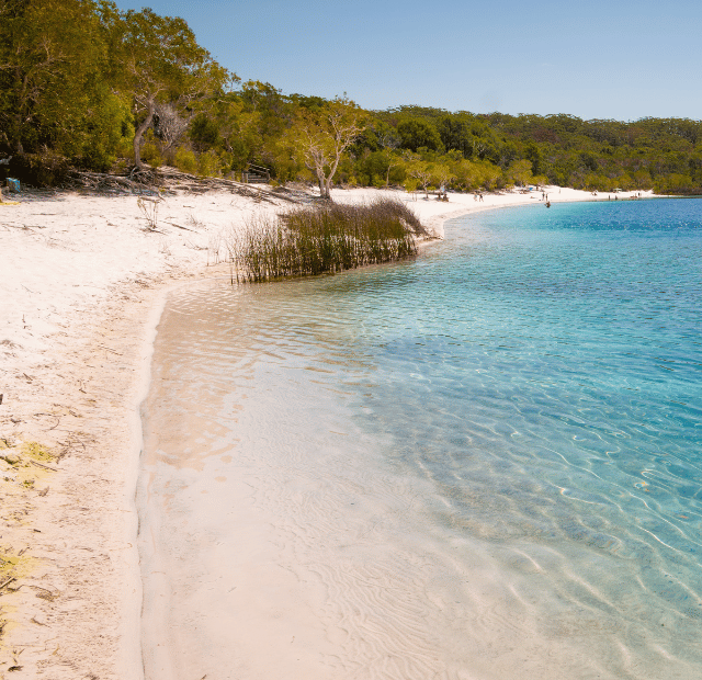 Como não pagar mico em Fraser Island Guia do Mundo viagens viajar roteiros Capa Web Stories