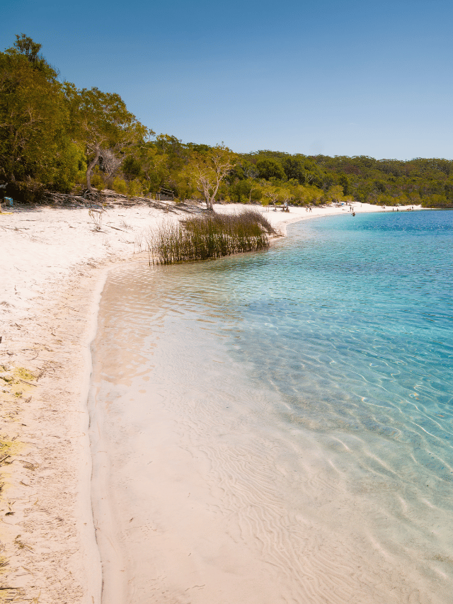 Como não pagar mico em Fraser Island?