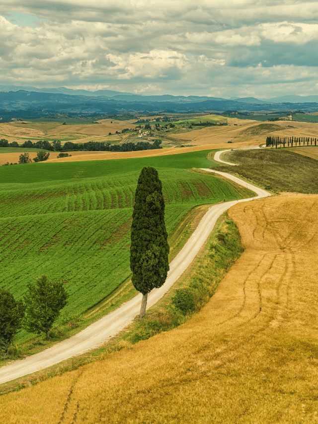 Como planejar o road trip de sonho na Toscana?
