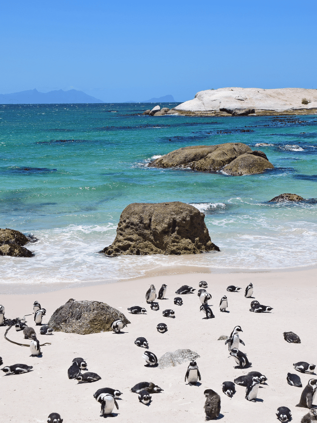 Como posso visitar Boulders Beach?