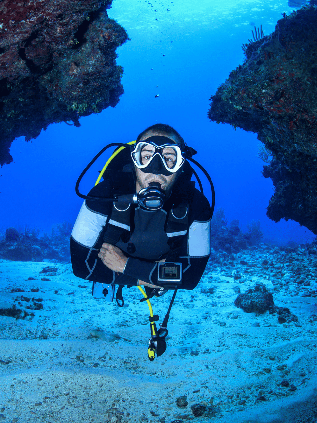 Como tirar certificação PADI barato em Roatan?