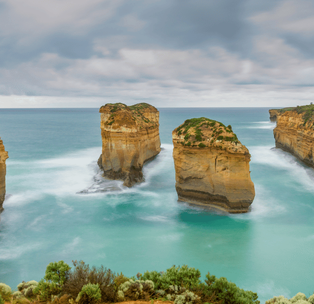 Como ver coalas selvagens na Great Ocean Road Guia do Mundo viagens viajar roteiros Capa Web Stories