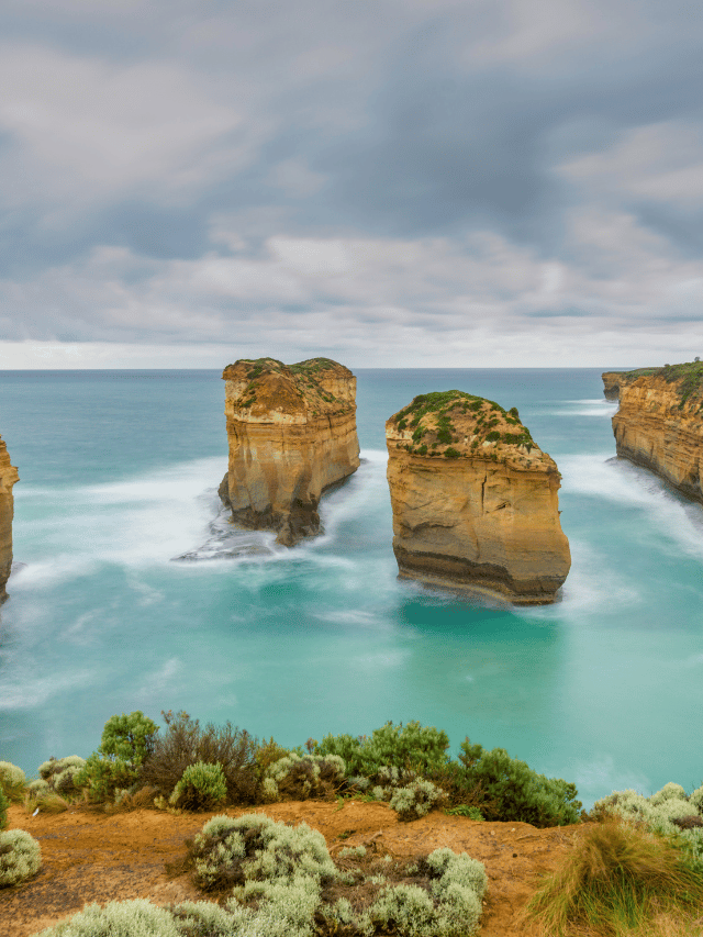 Como ver coalas selvagens na Great Ocean Road?
