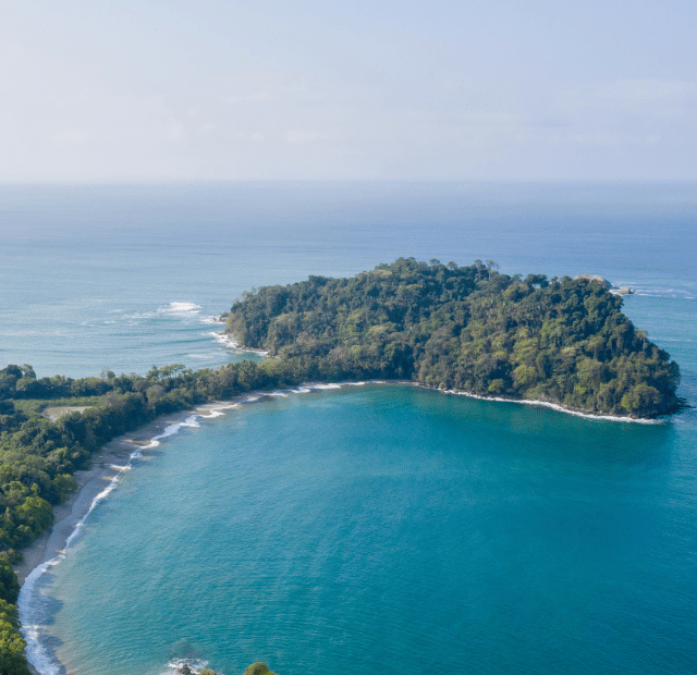Como ver macacos nas praias de Manuel Antonio Guia do Mundo viagens viajar roteiros Capa Web Stories
