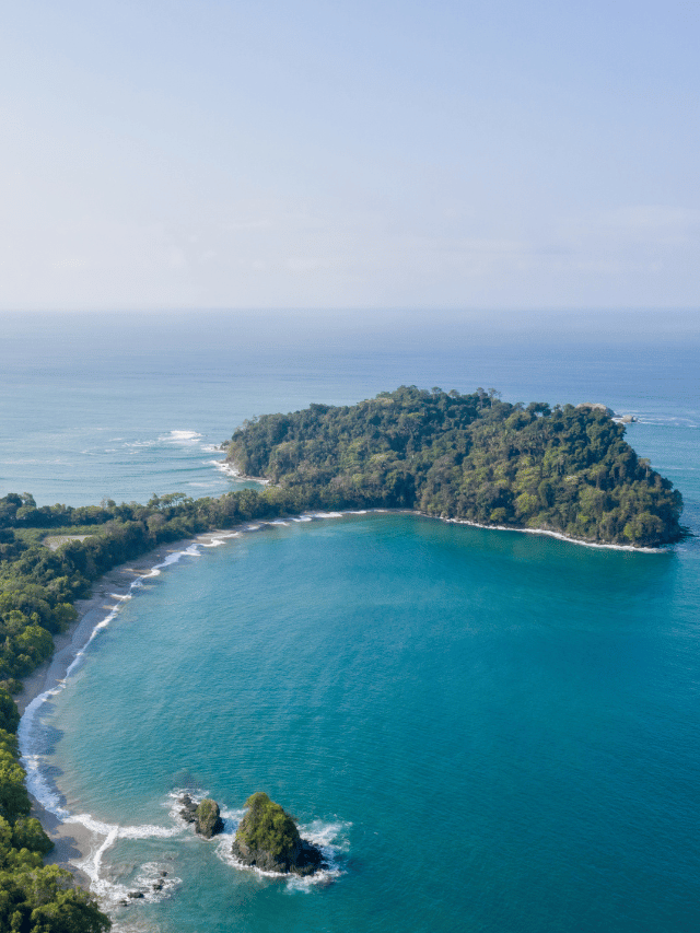 Como ver macacos nas praias de Manuel Antonio?
