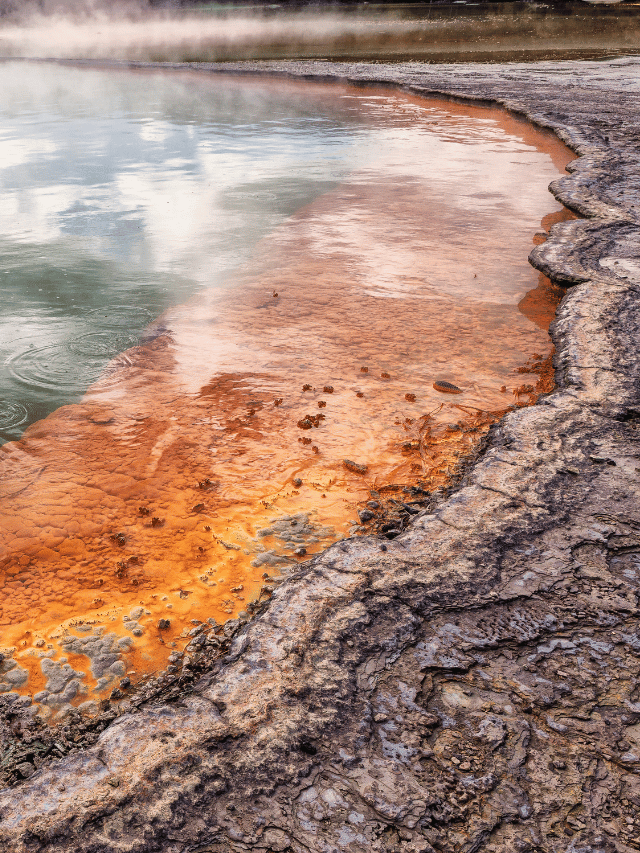 Como ver o tradicional Haka e os gêiseres de Rotorua?