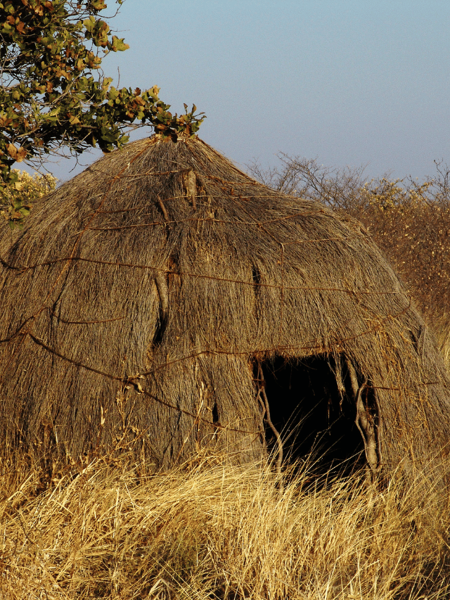 Como visitar os Bosquímanos no Kalahari?