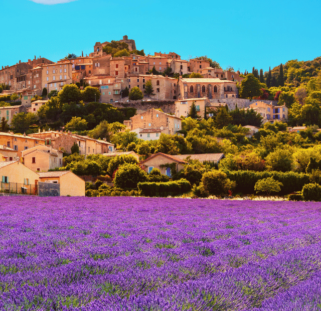 Como visitar os Campos de Lavanda na Provence Guia do Mundo viagens viajar roteiros Capa Web Stories