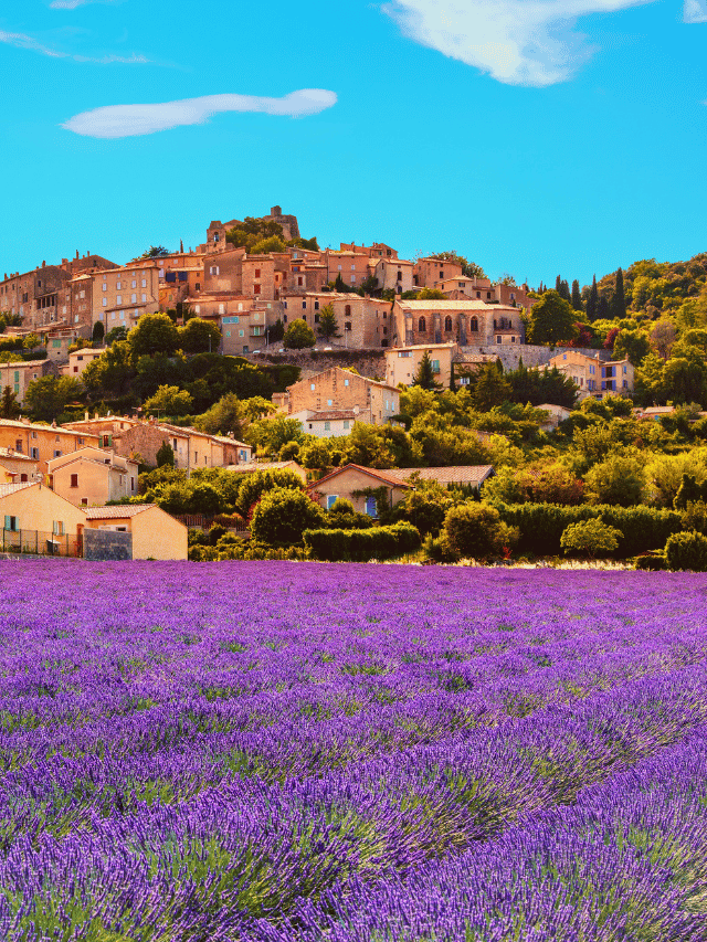 Como visitar os Campos de Lavanda na Provence?