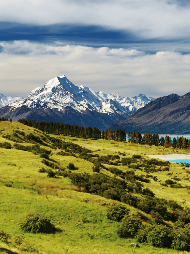 Ilha Norte VS Ilha Sul da Nova Zelândia: Qual é melhor?