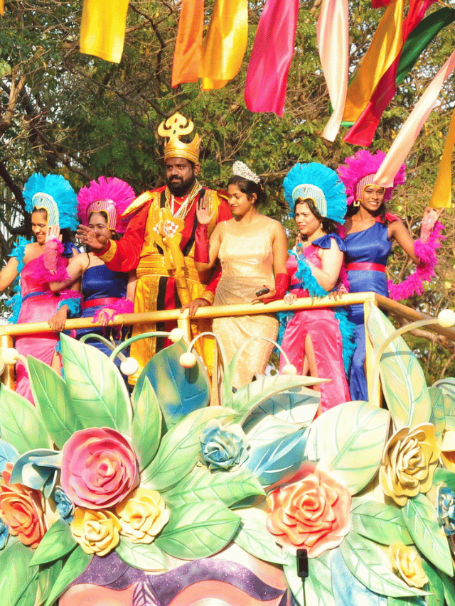 O que preciso saber sobre o Carnaval de Goa?