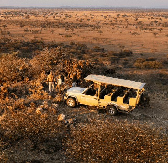 Qual a melhor época do ano para fazer um safári no Kruger Guia do Mundo viagens viajar roteiros Capa Web Stories