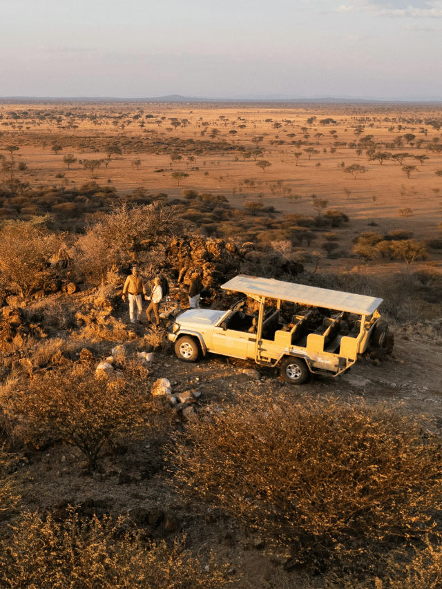 Qual a melhor época do ano para fazer um safári no Kruger?