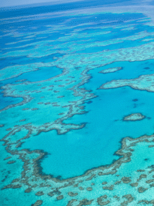 Qual a melhor época para visitar a Grande Barreira de Corais Guia do Mundo viagens viajar roteiros Capa Web Stories