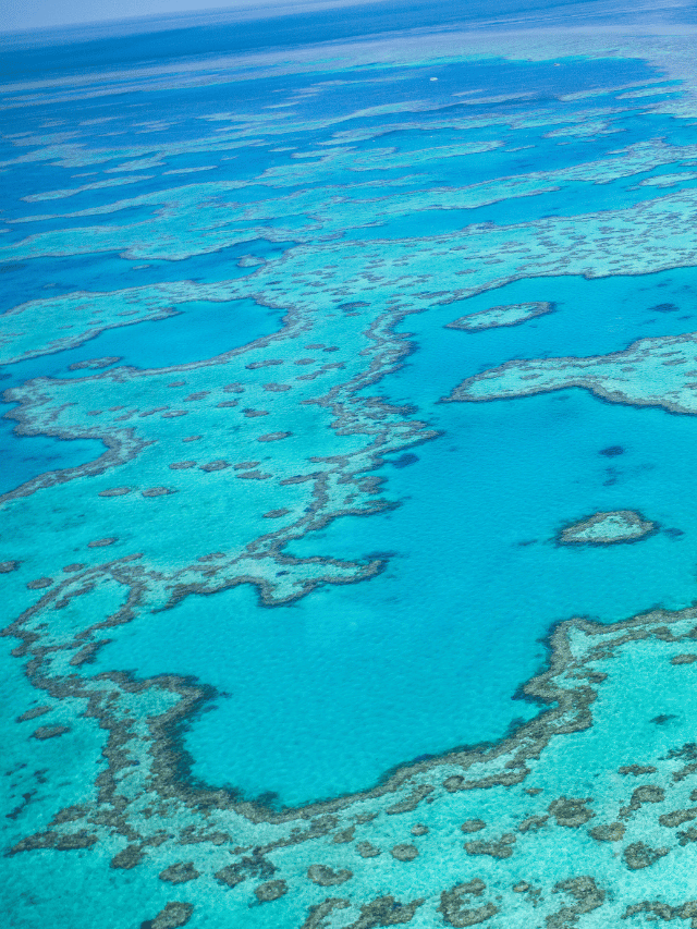 Qual a melhor época para visitar a Grande Barreira de Corais?