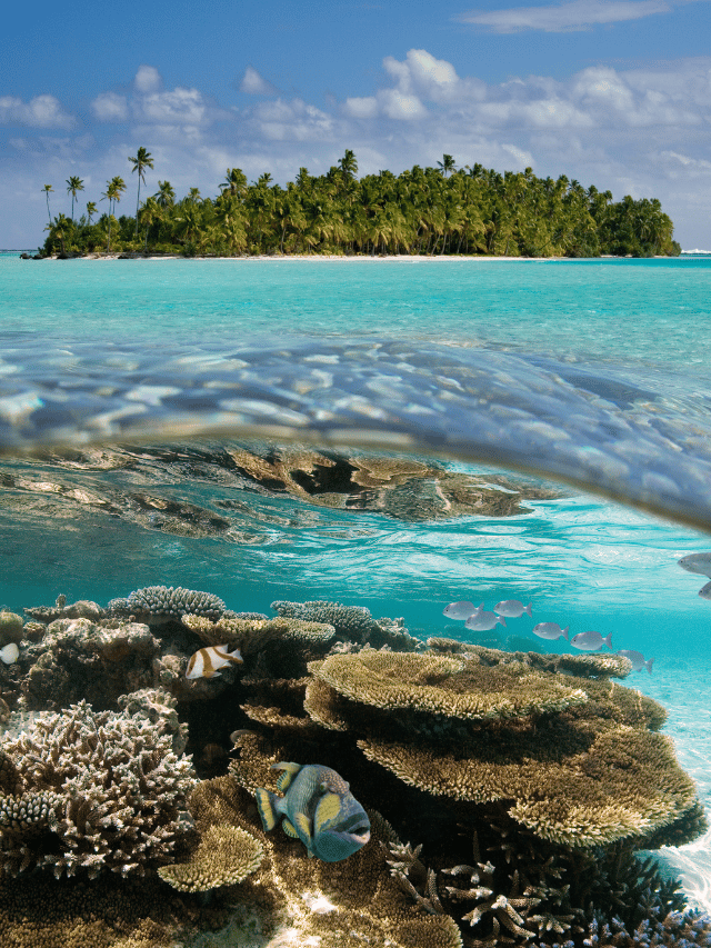 Qual a melhor época para visitar as Ilhas Cook?