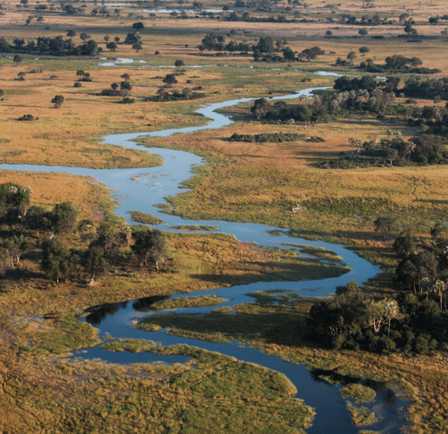 Qual a melhor época para visitar o Delta do Okavango Guia do Mundo viagens viajar roteiros Capa Web Stories