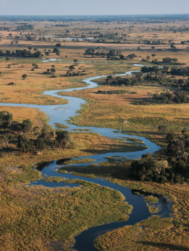 Qual a melhor época para visitar o Delta do Okavango?