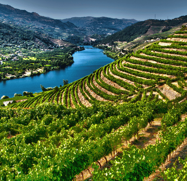 Qual a melhor época para visitar o Douro Guia do Mundo viagens viajar roteiros Capa Web Stories