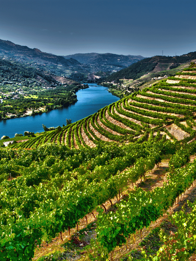 Qual a melhor época para visitar o Douro?