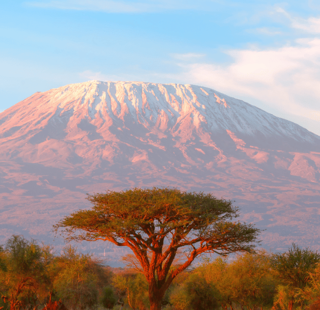 Qual é a melhor época para escalar o Kilimanjaro Guia do Mundo viagens viajar roteiros Capa Web Stories