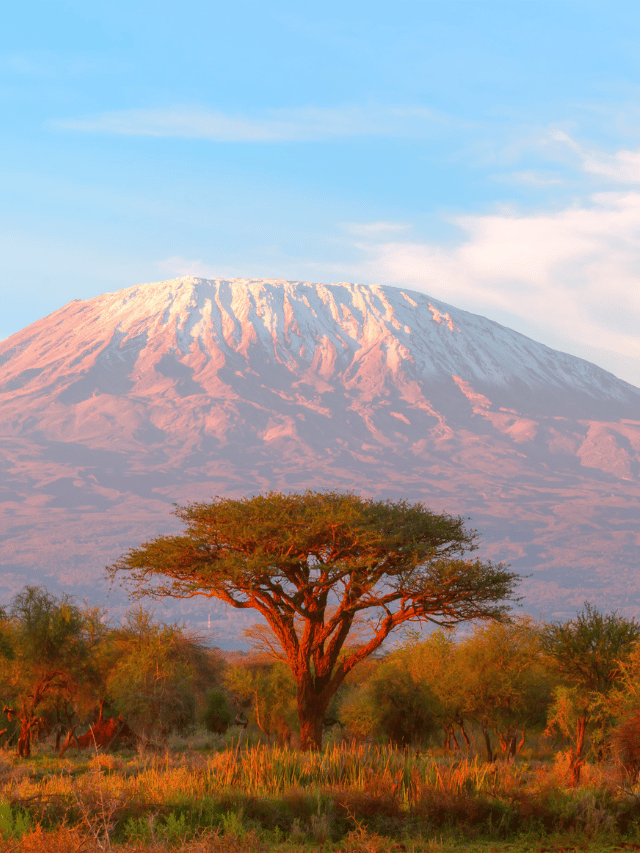 Qual é a melhor época para escalar o Kilimanjaro?